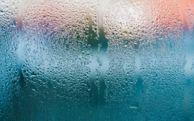 The Importance of Humidity Control in Your New Home